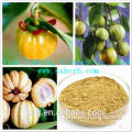 Hot selling garcinia cambogia extract capsules